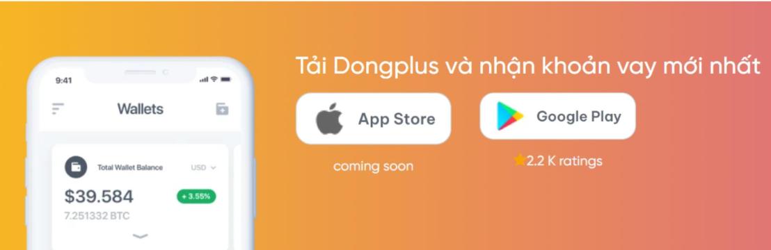 DongPlus  VN1