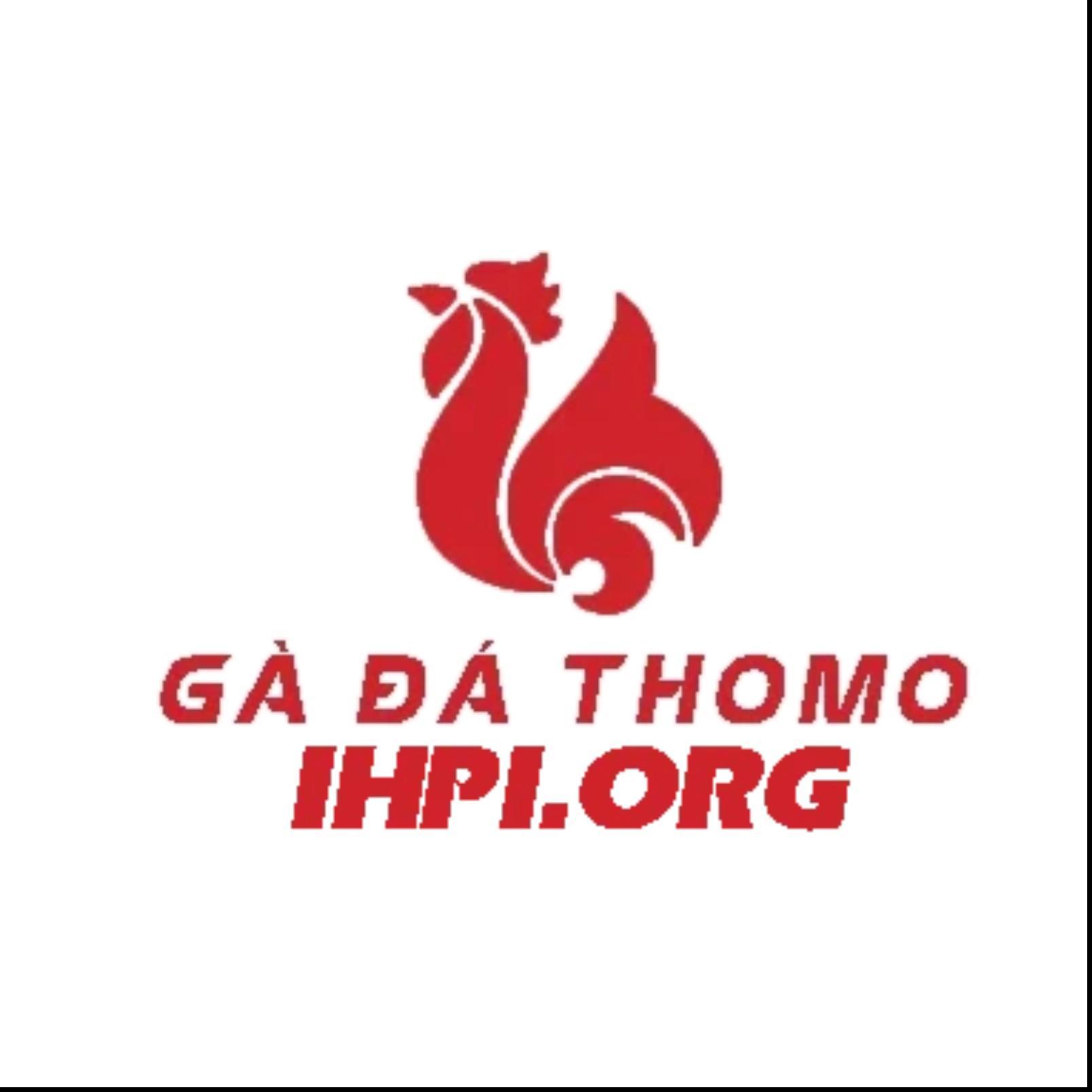 ĐÁ GÀ THOMO  TRỰC TIẾP