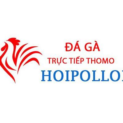 Đá Gà Trực Tiếp Thomo