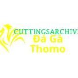 Đá Gà Trực Tiếp Thomo