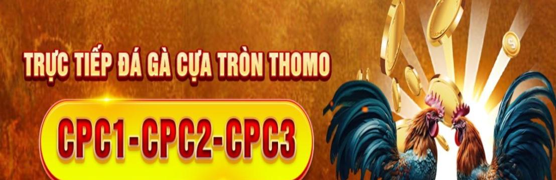 Đá Gà  Trực Tiếp