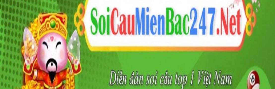 Soicau 247