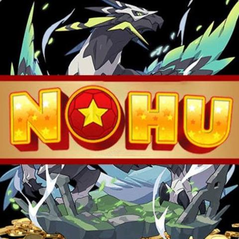 NOHU93 Net