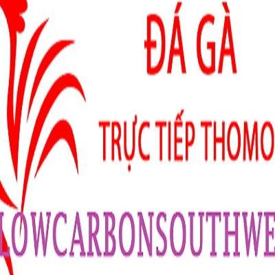 Đá Gà Trực Tiếp Thomo