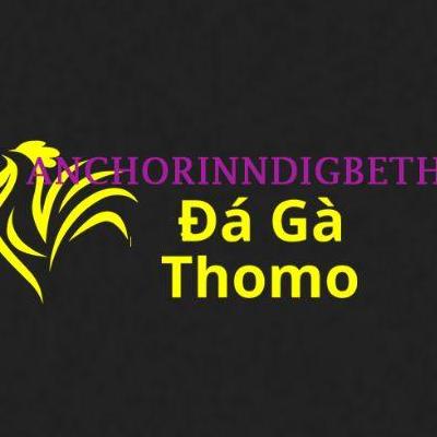 Đá Gà Trực Tiếp Thomo
