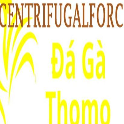 Đá Gà Trực Tiếp Thomo