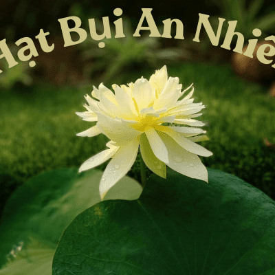 Hạt Bụi An Nhiên
