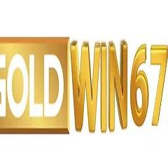 GOLDWIN678 io 