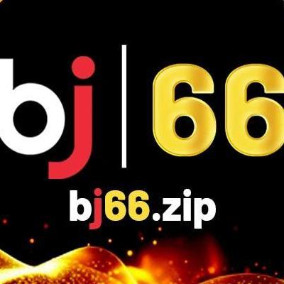 BJ66 Zip