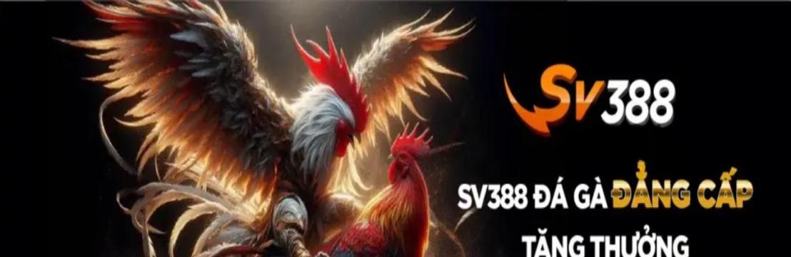 Sv388 Date