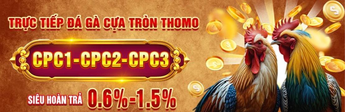 Đá Gà Trực Tiếp