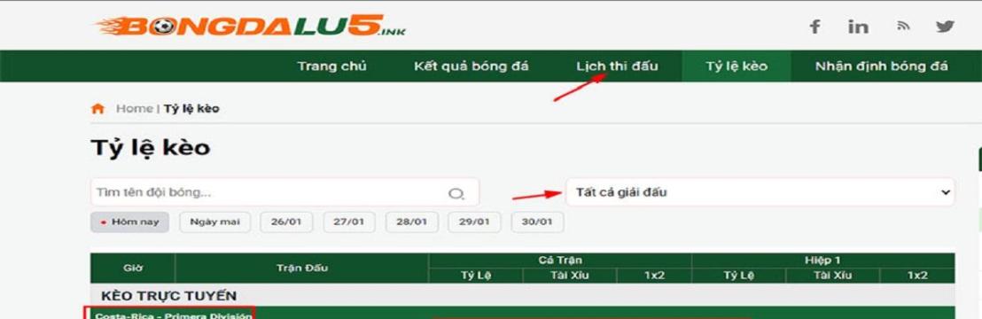 BONGDALU Nhà Cái 