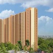 Evara Birla