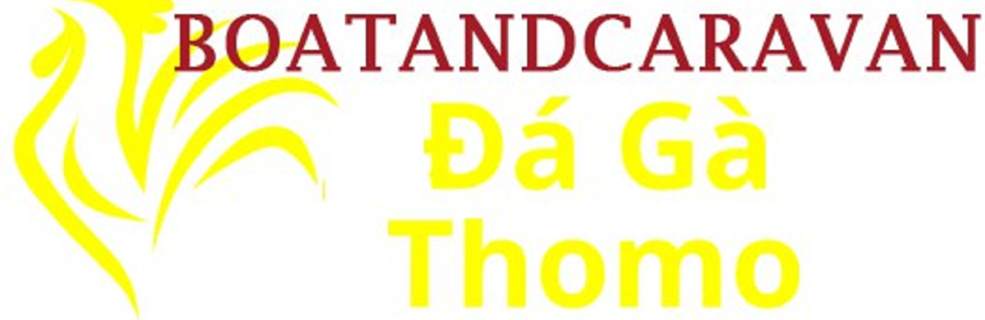 Đá Gà Trực Tiếp Thomo
