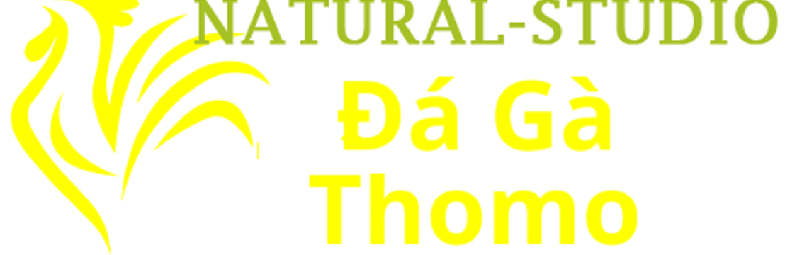 Đá Gà Trực  Tiếp Thomo