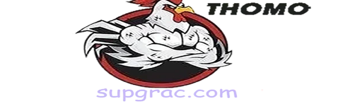ĐÁ GÀ TRỰC TIẾP  THOMO