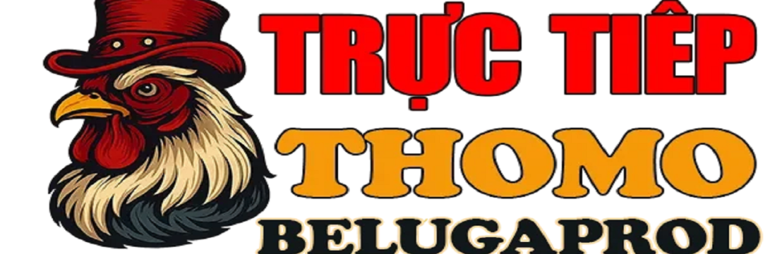 ĐÁ GÀ TRỰC TIẾP   THOMO HÔM NAY