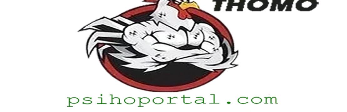 ĐÁ GÀ  TRỰC TIẾP