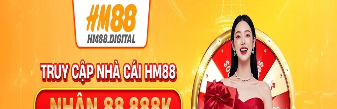 hm88 digital