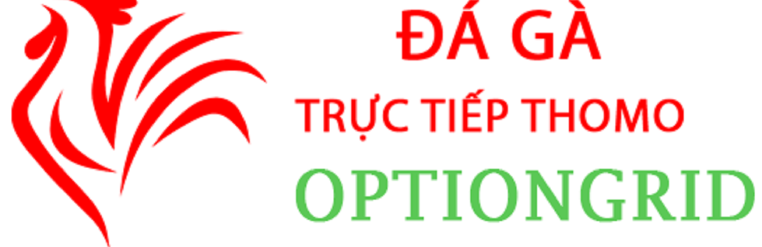 Đá Gà Trực  Tiếp Thomo