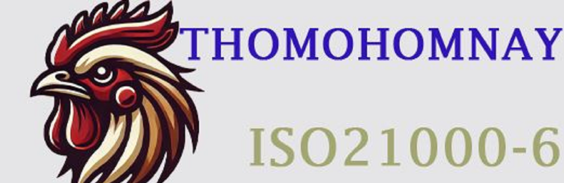 Thomo  Hôm Nay