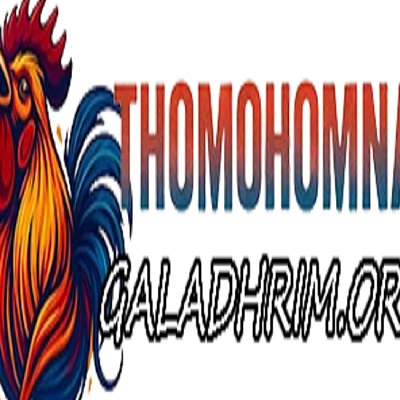 THOMOHOMNAY XEM TRỰC TIẾP ĐÁ GÀ