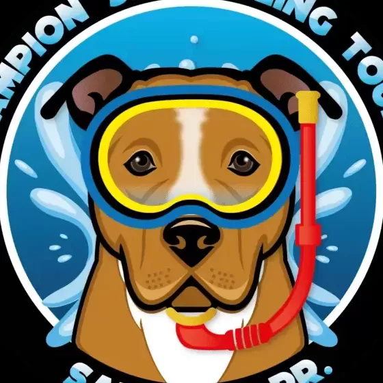 Champion Snorkel