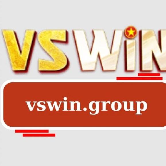 vswin group