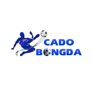 Cá Độ Bóng Đá Nền Tảng  Uy Tín