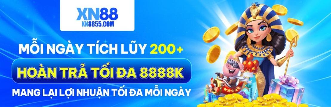 Xn88 Com