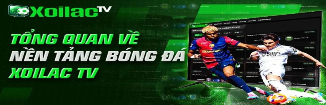 dougelkinschoreography lừa đảo