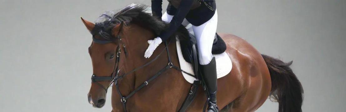  Canter  Cart