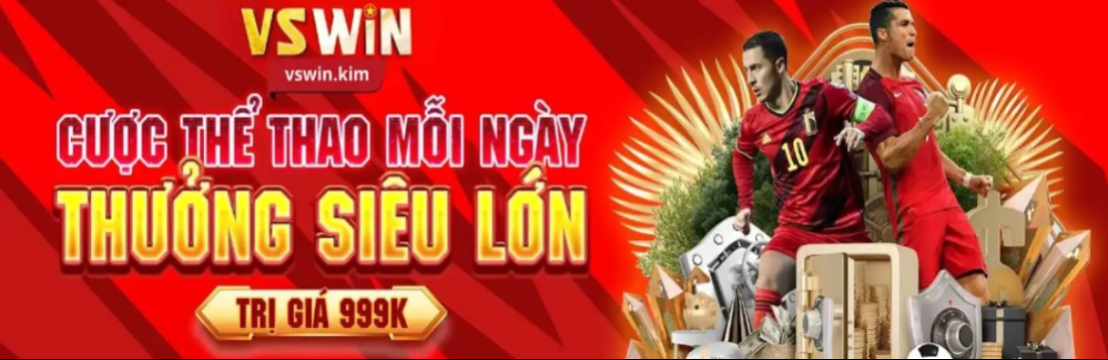 VSWIN KIM