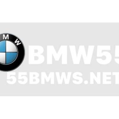 Bookmaker 55BMW