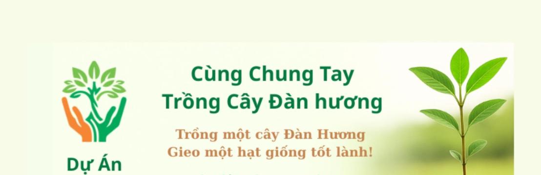 Cây Đàn Hương Giải Pháp Thiên Nhiên Giúp Làm Chậm Tiến Trình Biến Đổi Khí Hậu