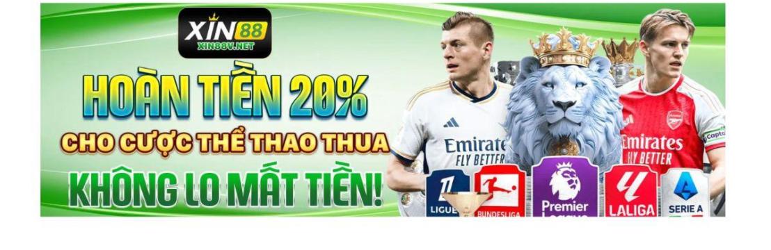 XIN88 VNET