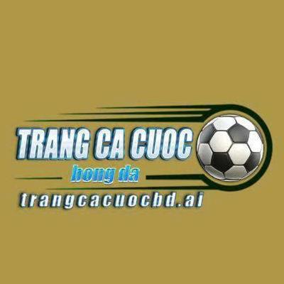 Trang Cá Cược  Bóng Đá AI