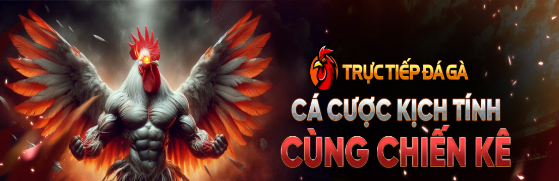 DA GA TRUC TIEP  Da Ga Truc Tiep Thomo
