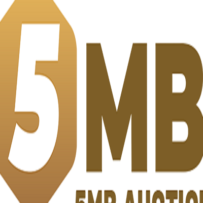 5MB Auction