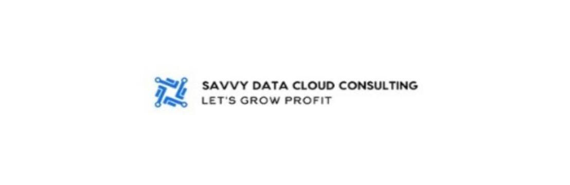 Savvy Data Cloud Consulting