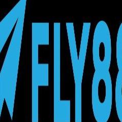 Fly88 Tours