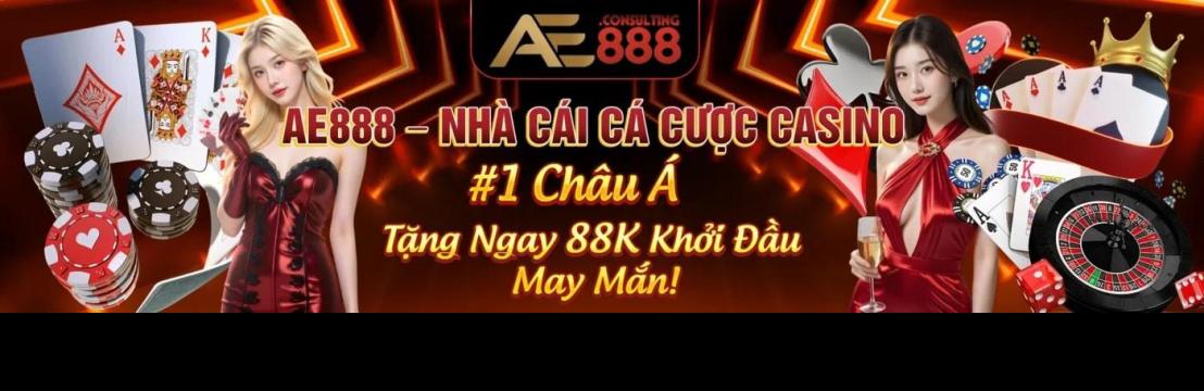 AE888 Consulting